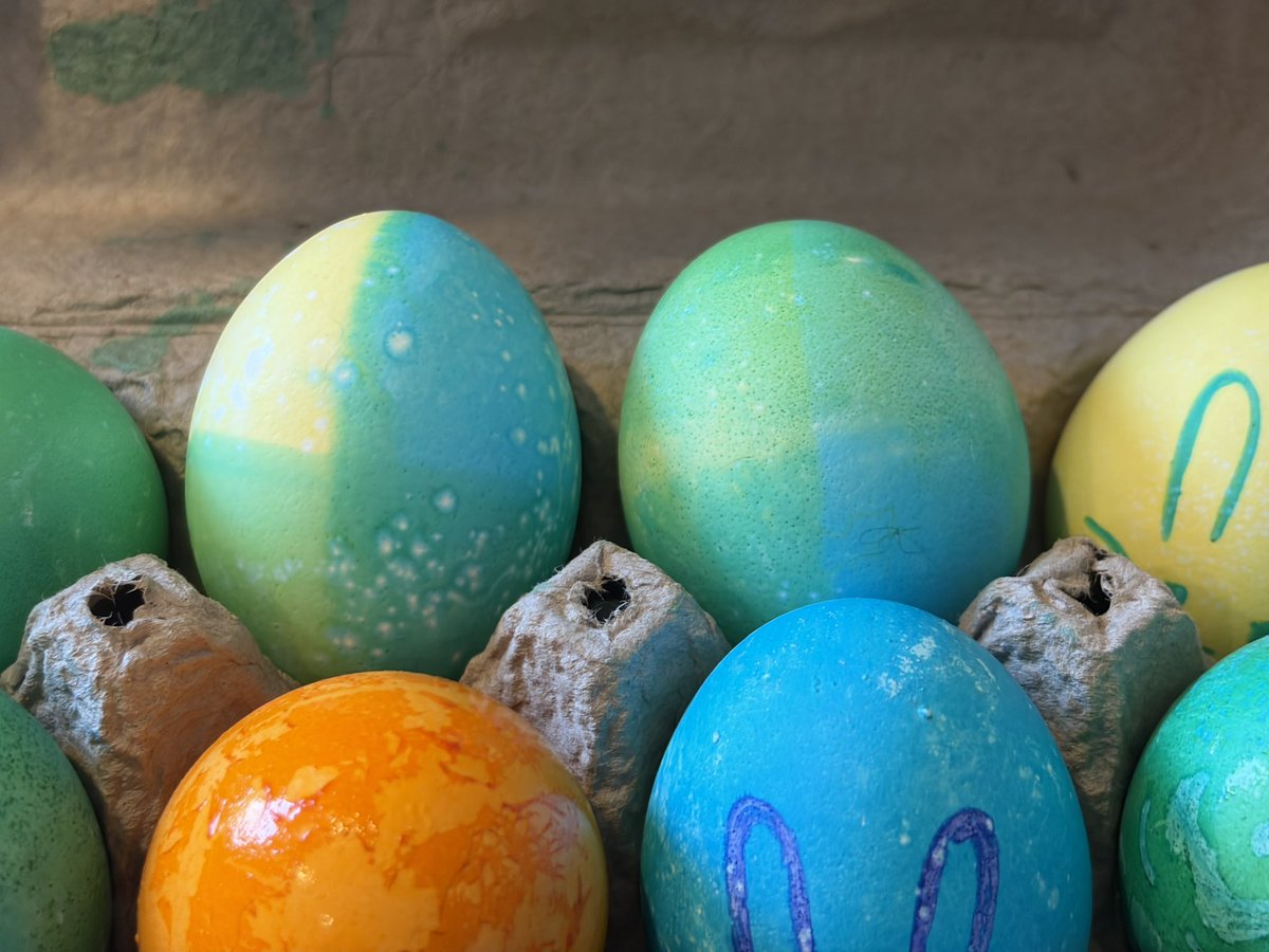 wilִ ⚞•⚟ tweet media