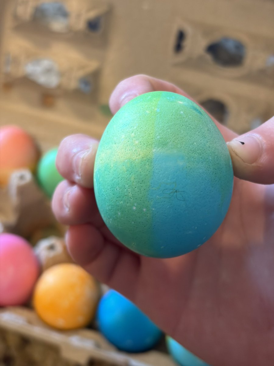 wilִ ⚞•⚟ tweet media