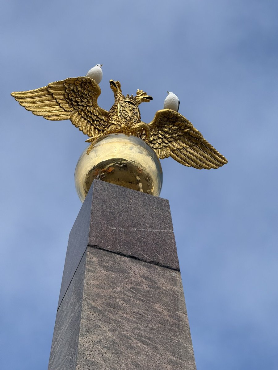 Mary Mango tweet media