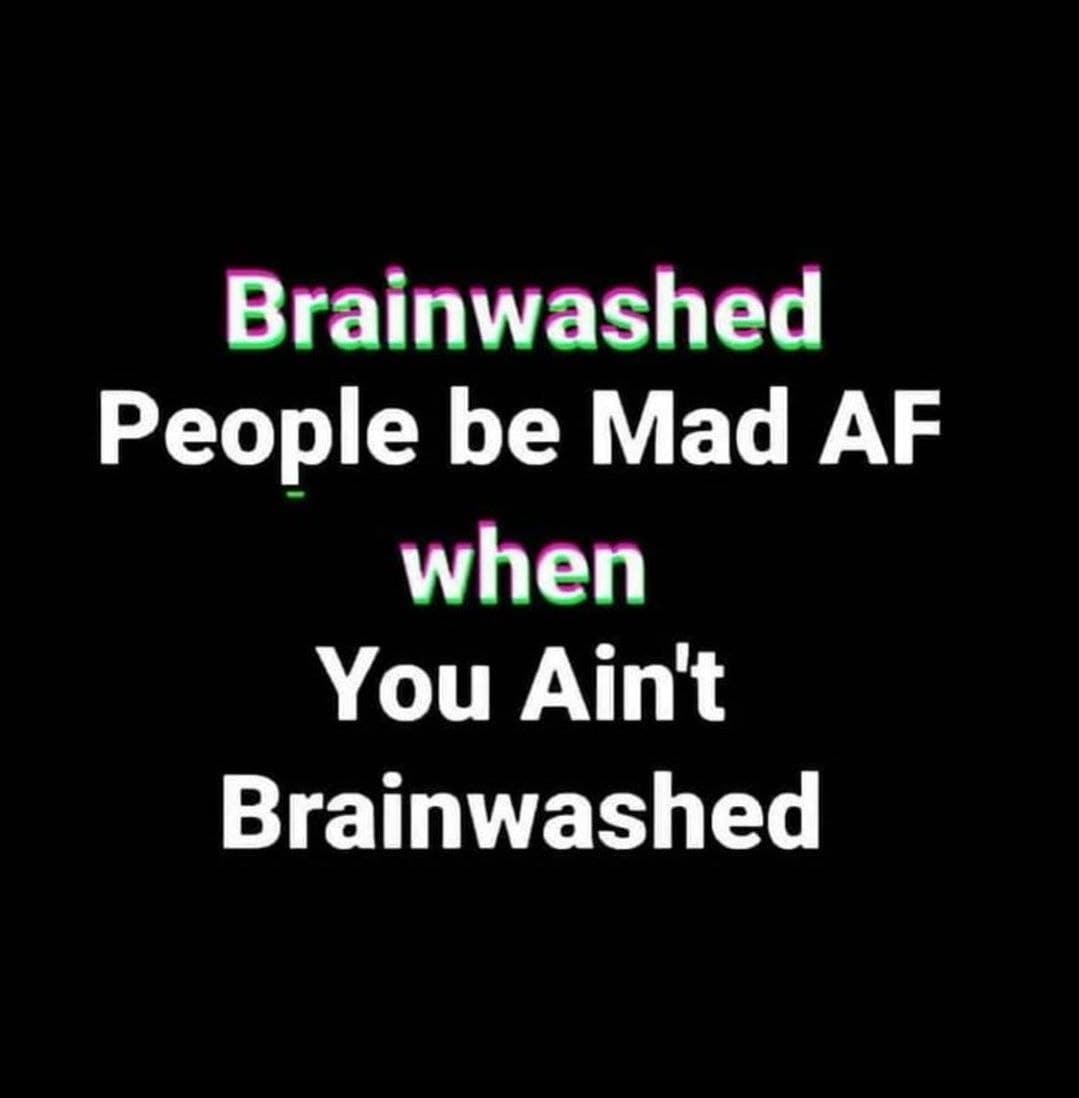 rabbitholebot tweet media