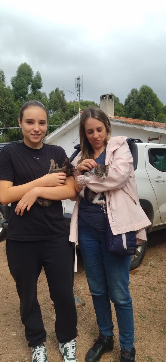 Giovanna Moreno tweet media