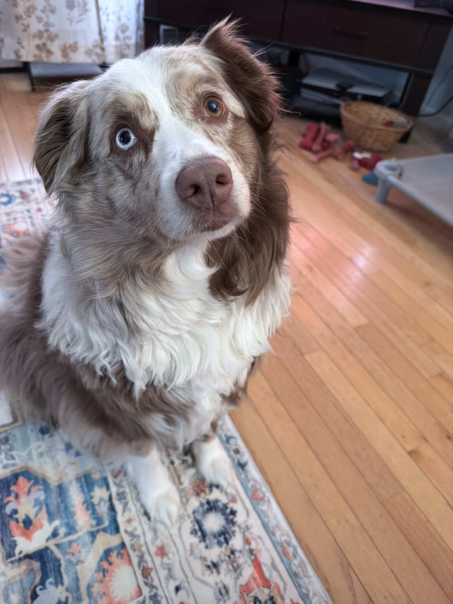 My best boys 💜💜