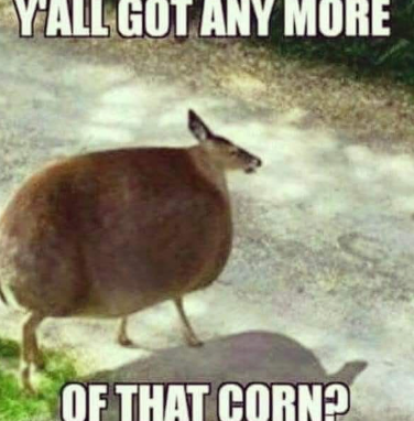 John fawn tweet media