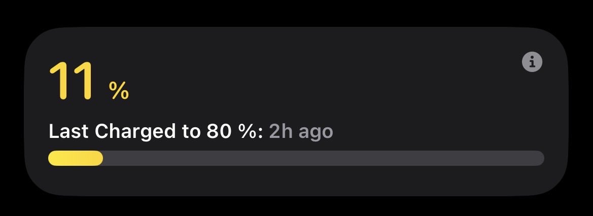 cat ⊹ ࣪ ˖ tweet media