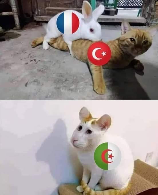 Raphaël 🇫🇷🇲🇦 tweet media