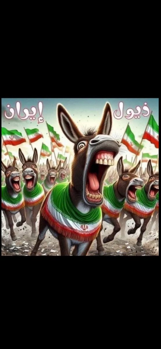 أوس ..➰ tweet media