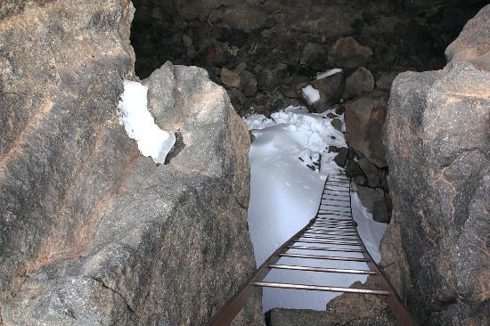 Fénix Canarias tweet media