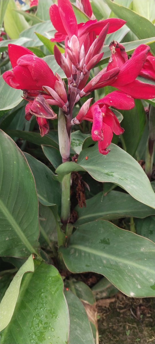 the nature interesting tweet media