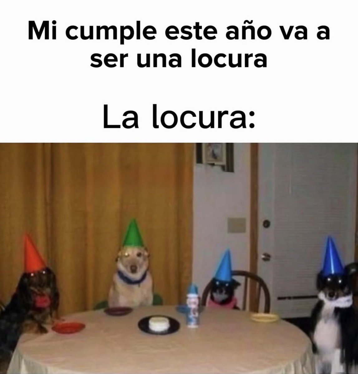 Clov! 🍉 | BUZÓN DE CUMPLEAÑOS 🎂 tweet media