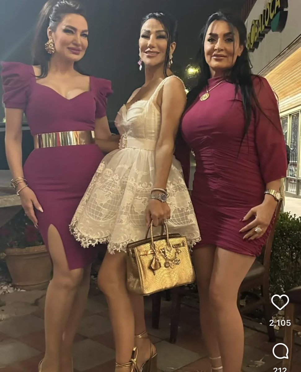 Elham🇮🇷 tweet media