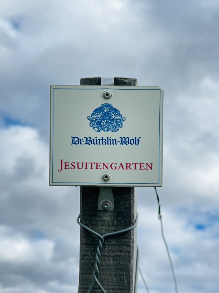 FrauHodl tweet media