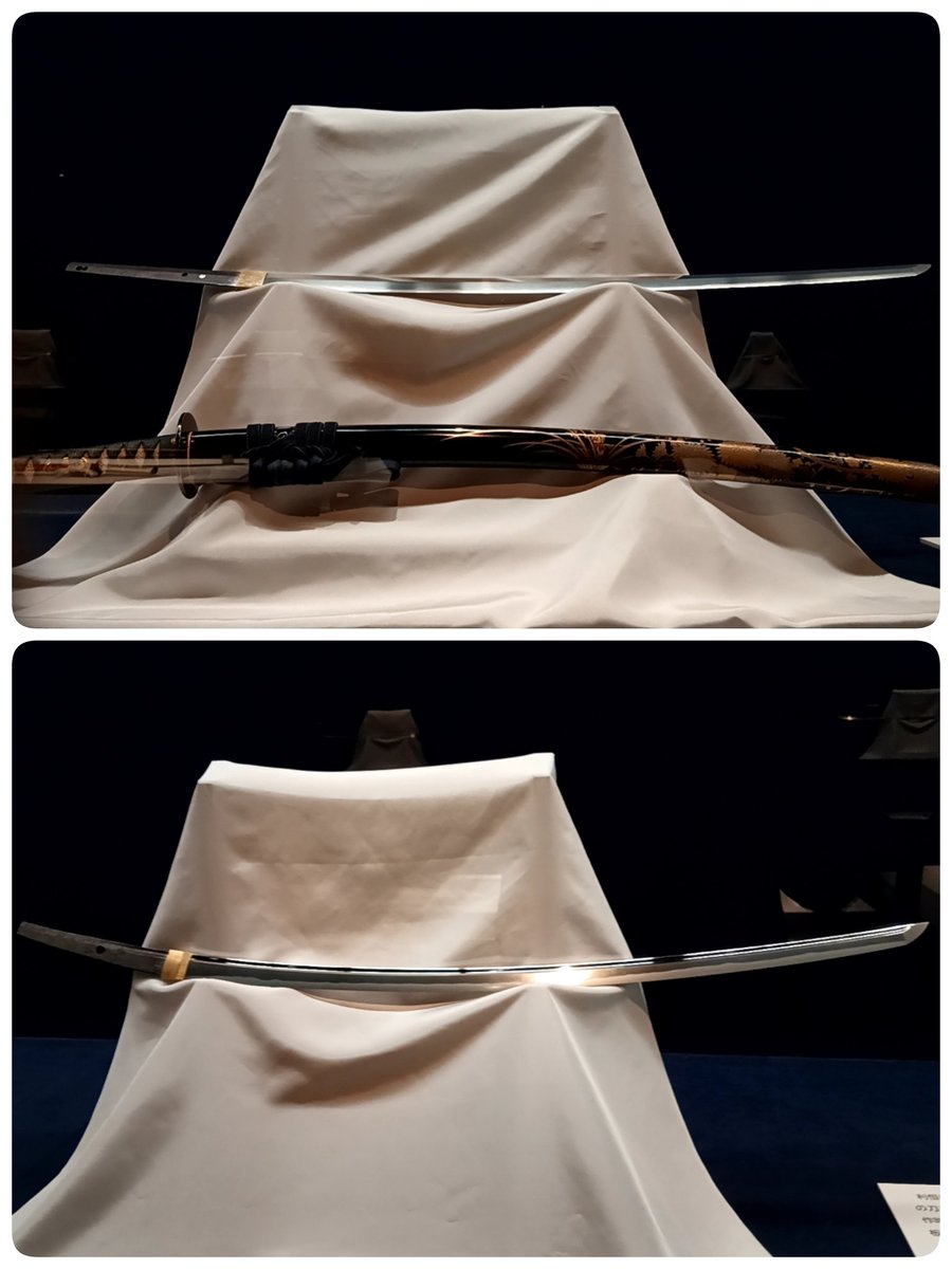 京マチャコ tweet media