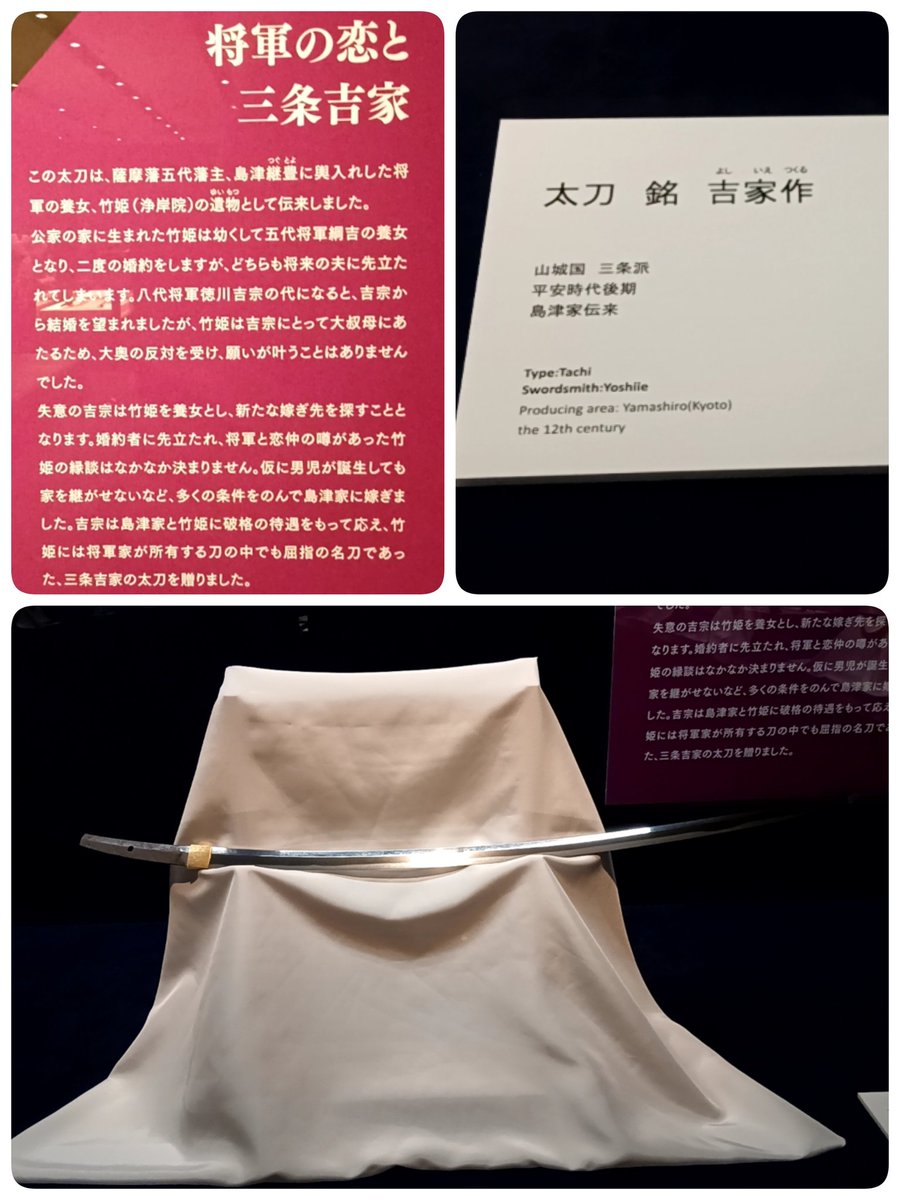 京マチャコ tweet media