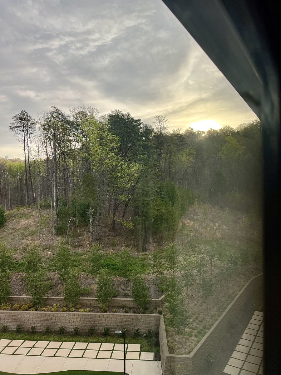 Ryan Lucchesi tweet media