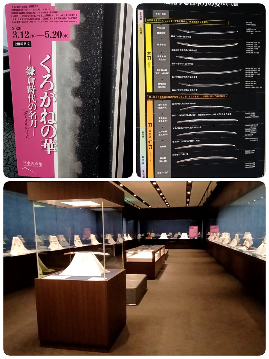 京マチャコ tweet media