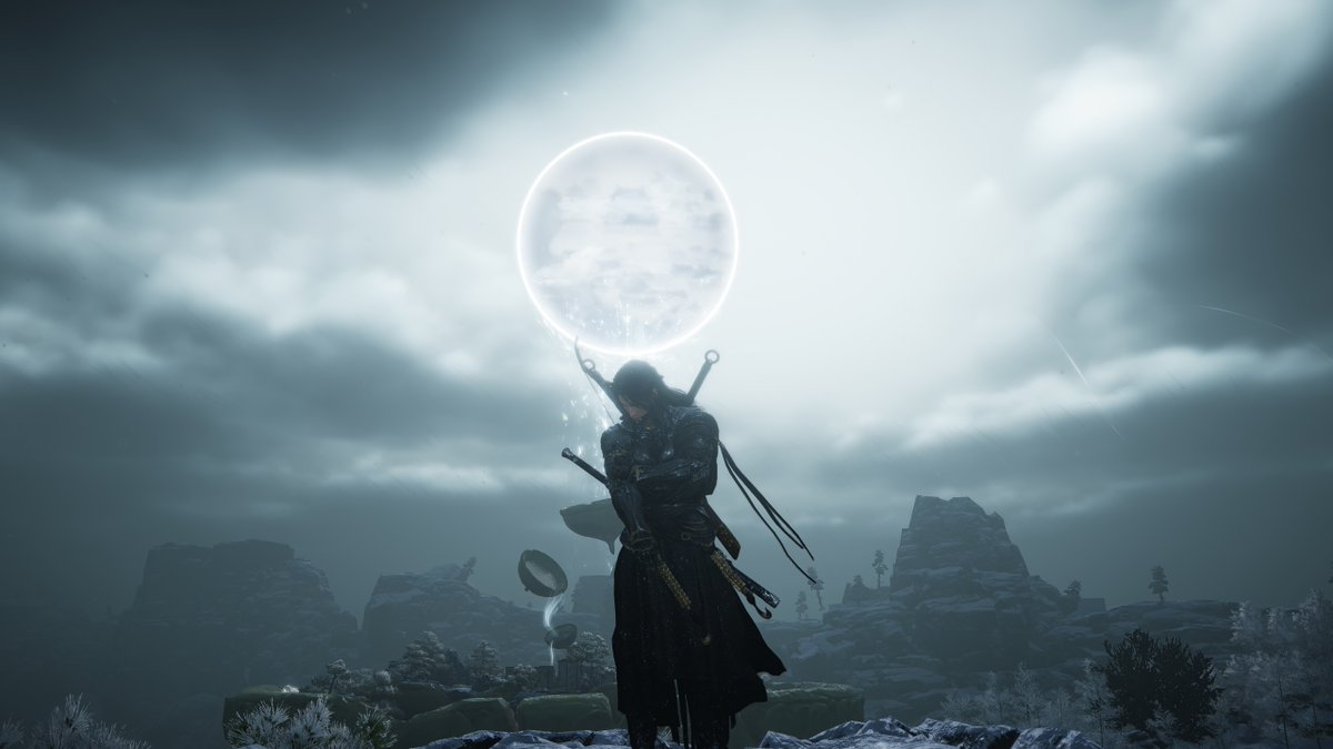 Evan Rosier tweet media