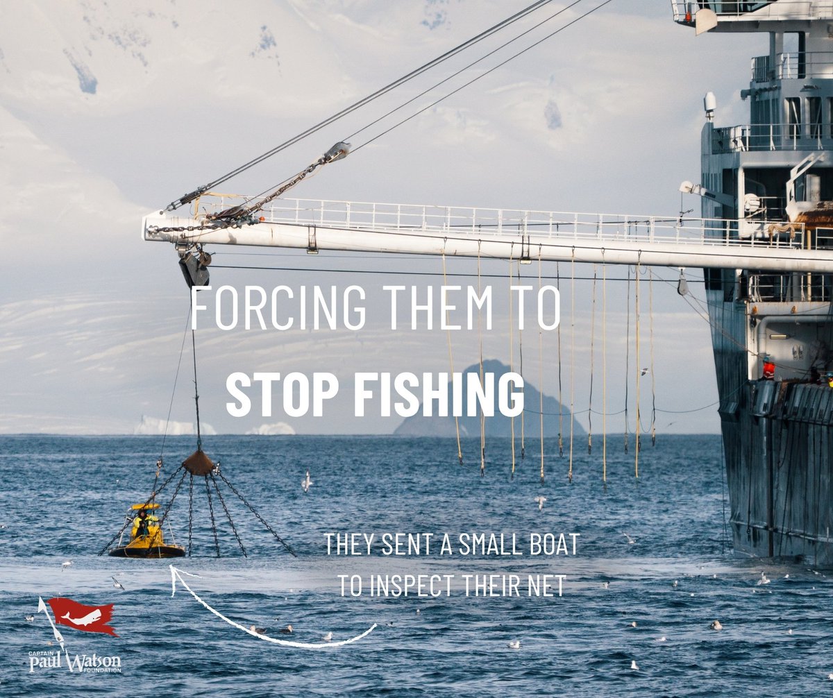 Shark Safety WA tweet media