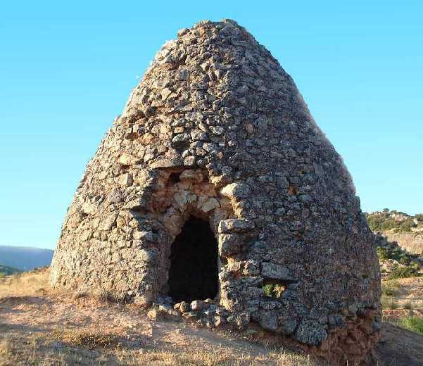 Fénix Canarias tweet media