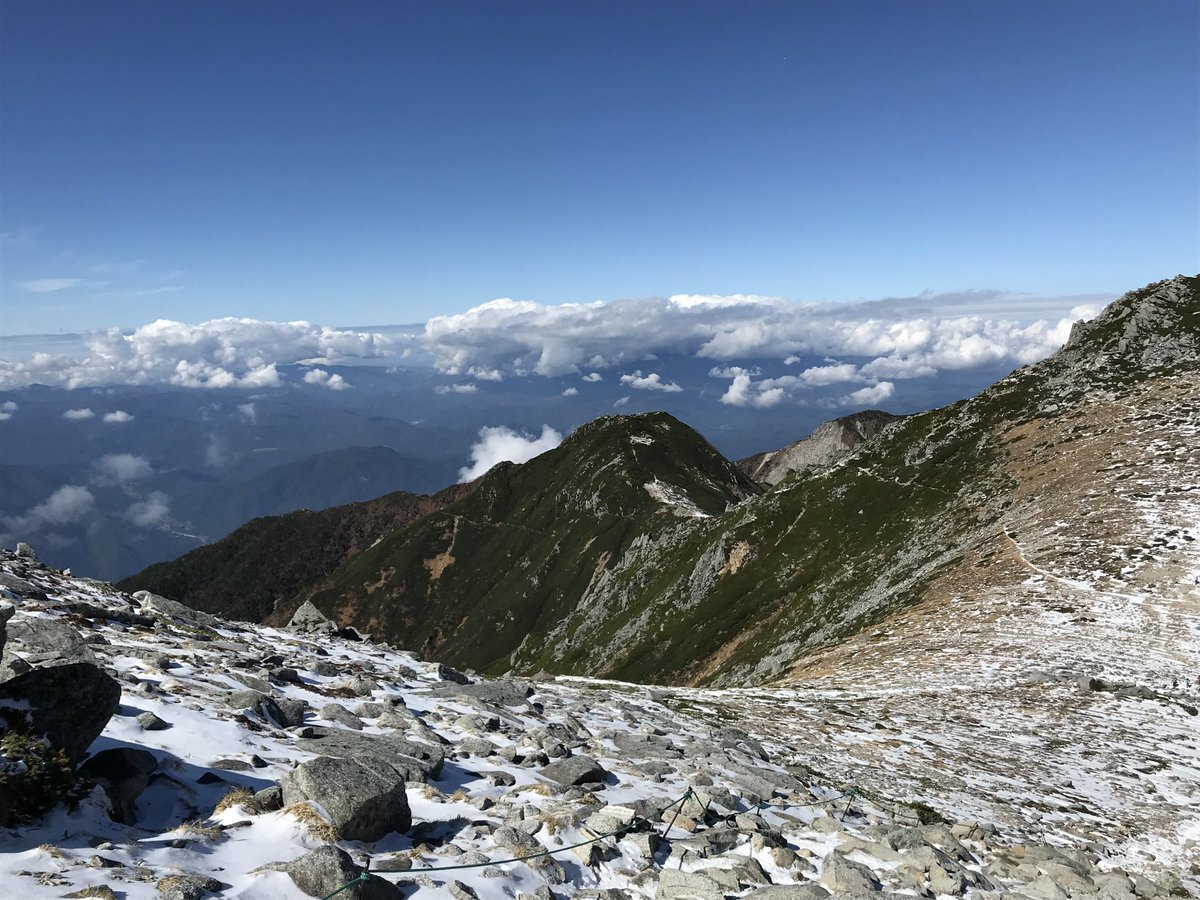 ゆっくり🌸🌸 tweet media