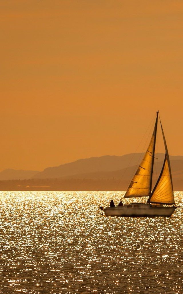 landspace tweet media