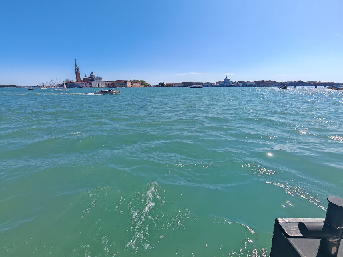 喵瞳依 tweet media