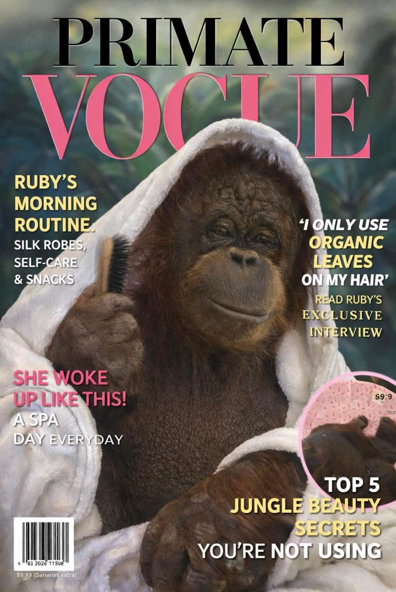 🧸 LAUREN 🧸 tweet media