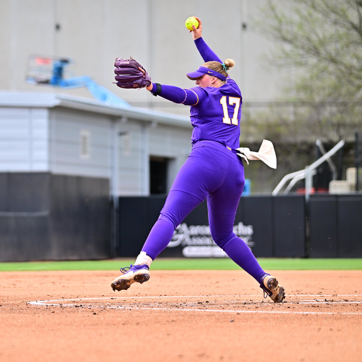 LSU Softball tweet media