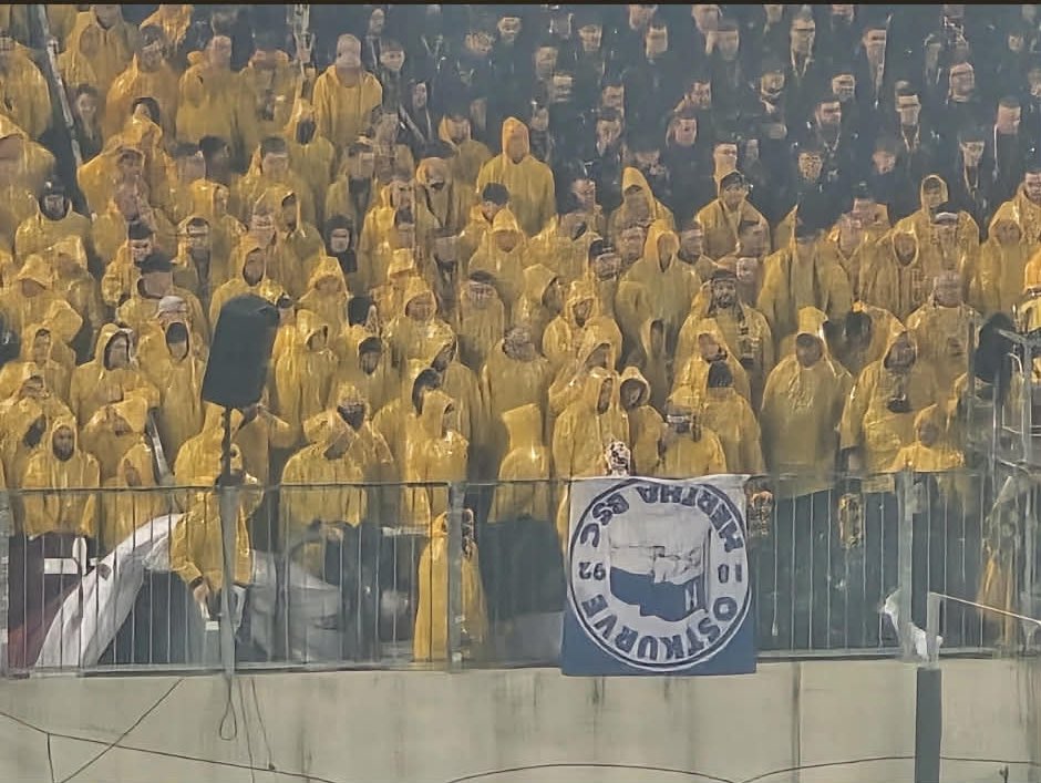 Adaminho tweet media