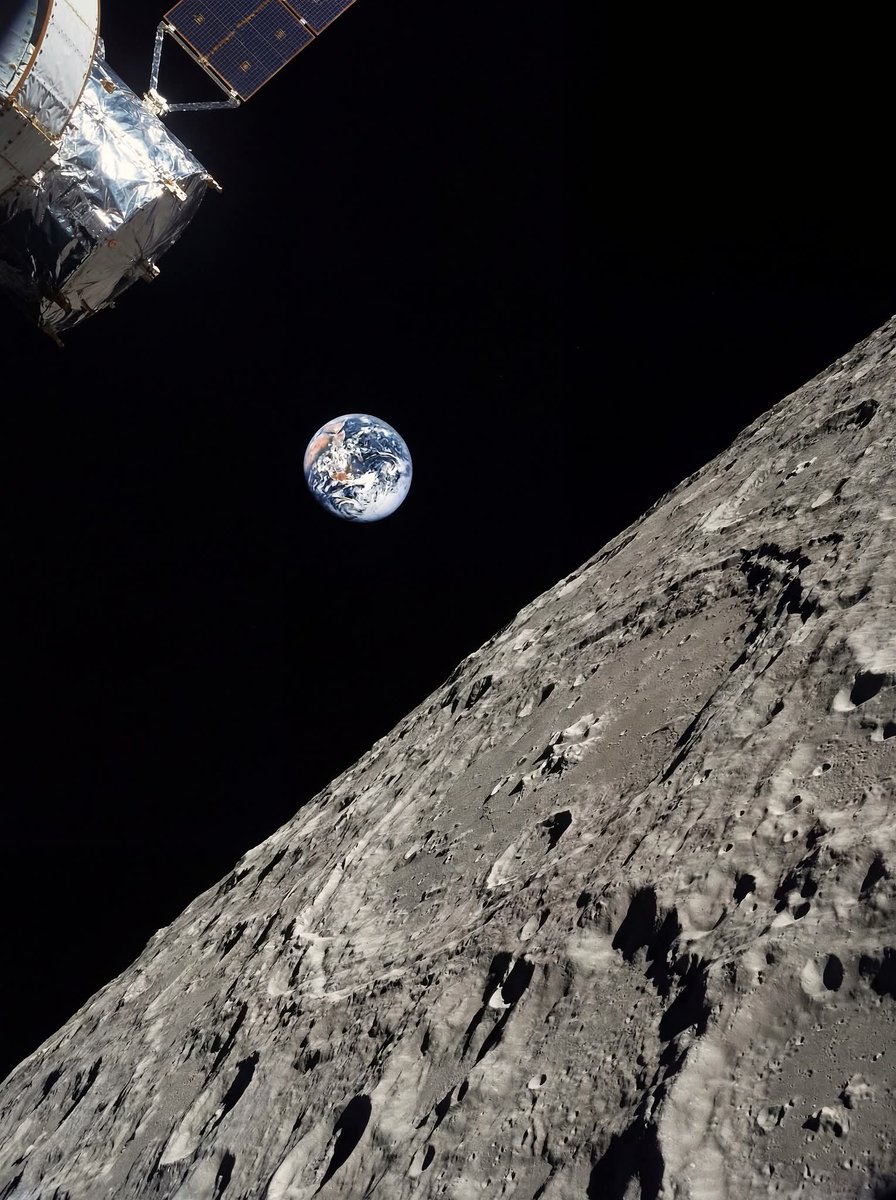 Dmitry Smirnov💱⚡️ tweet media