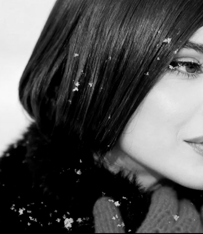 Updates Sofia tweet media