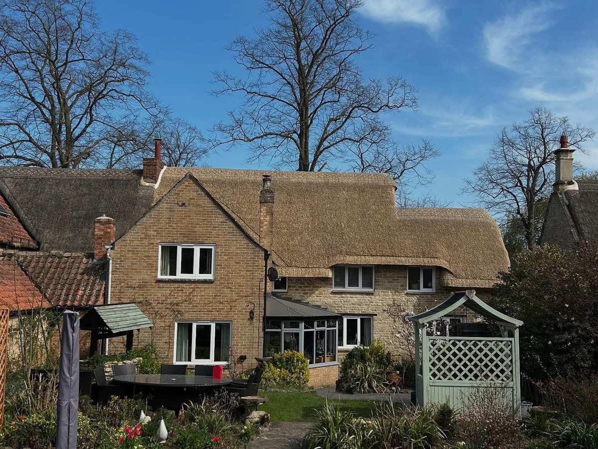 Chris Dodson tweet media