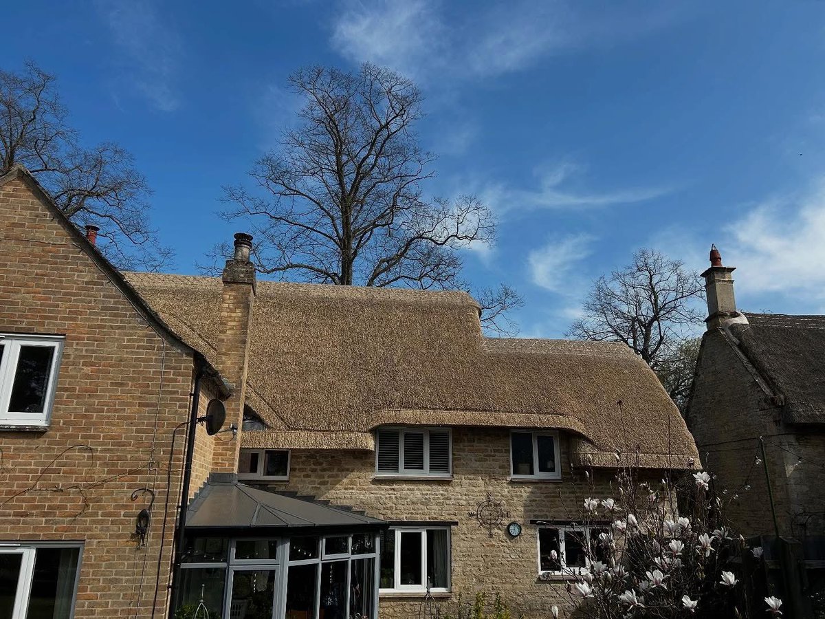 Chris Dodson tweet media