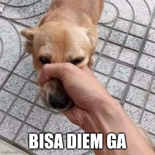 keng bar tweet media