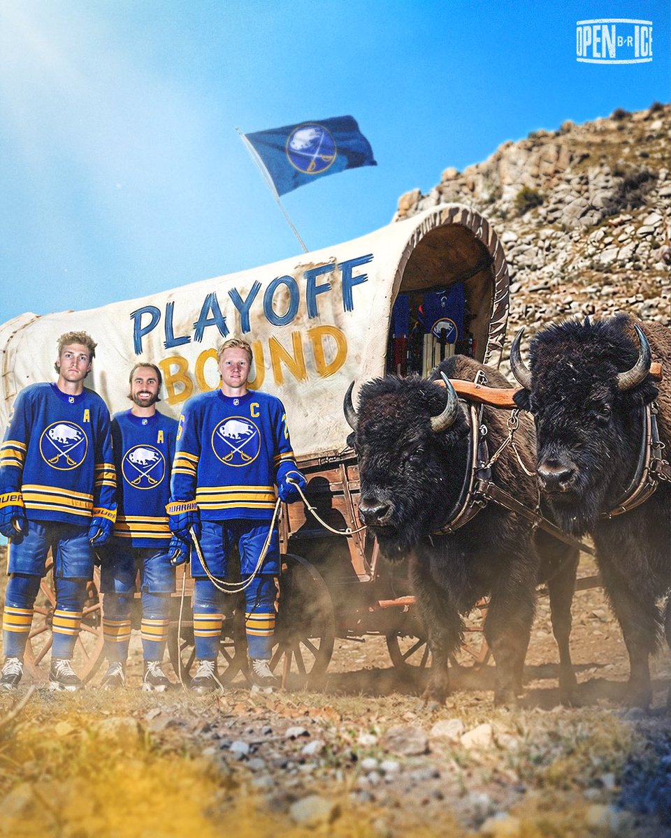 Been waiting a long to say the buffalo sabres are going to the playoffs!! #GoSabs #DroughtOver #sabres