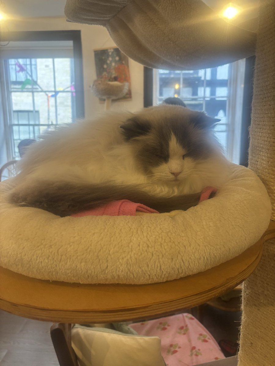 Miss G 📚 tweet media