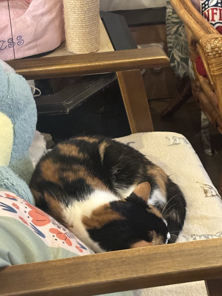 Miss G 📚 tweet media