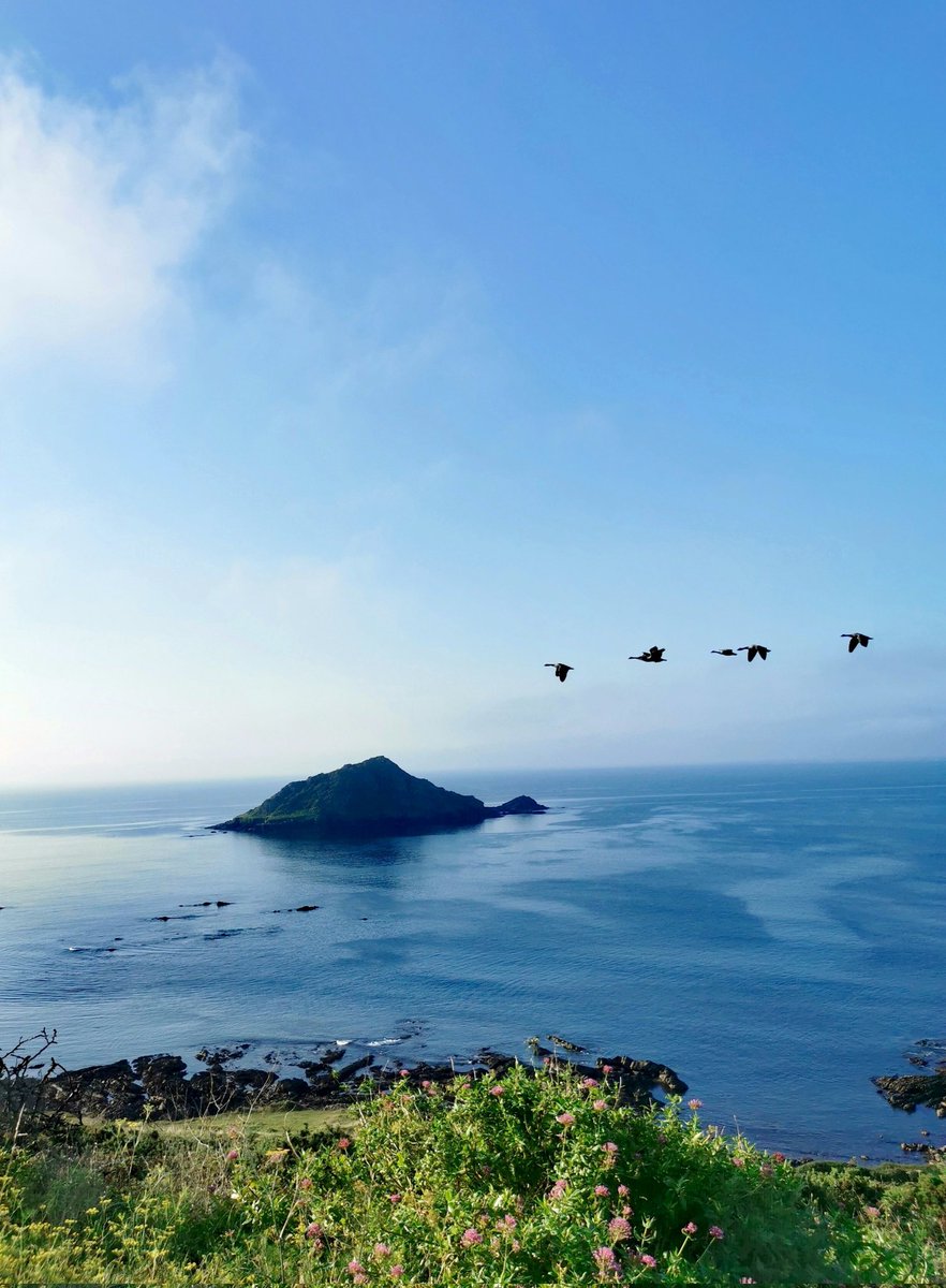 Phil Gallagher tweet media