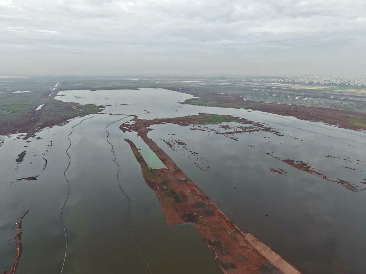 Porcupine Gil tweet media