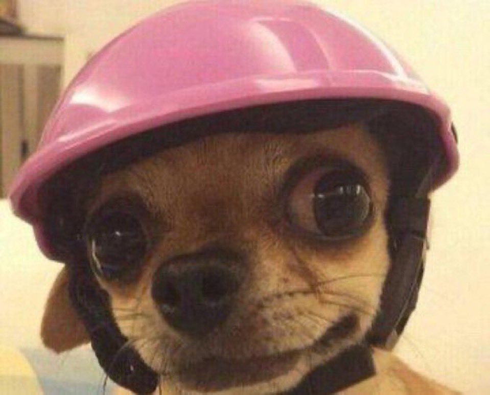 Nimi Pamela tweet media