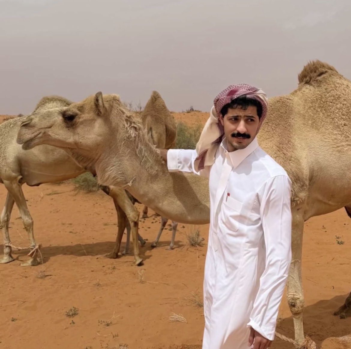 سـَـاره tweet media