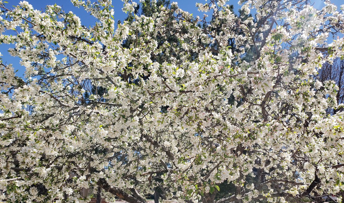 Xenotide tweet media