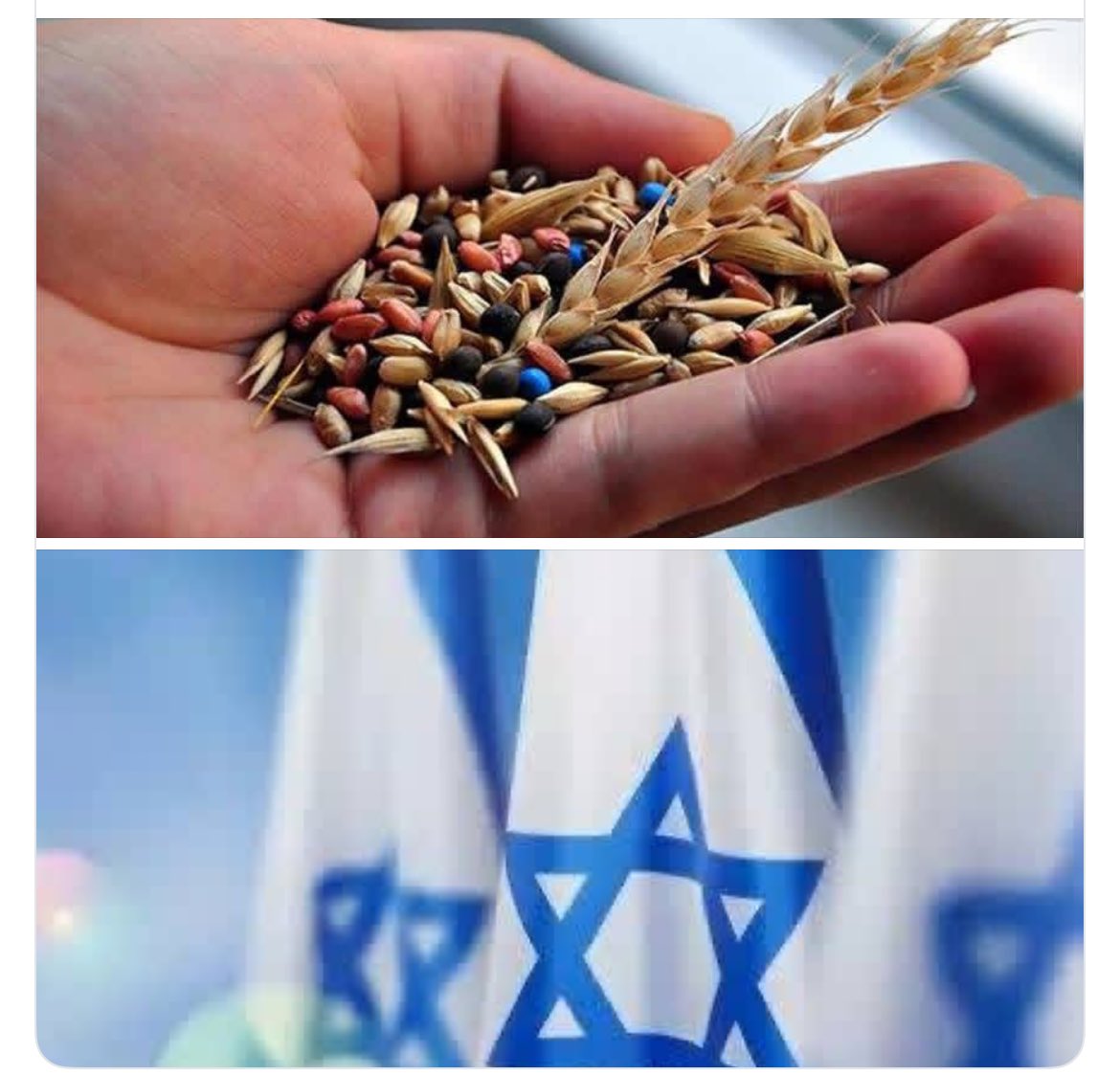 Recep Somuncu tweet media