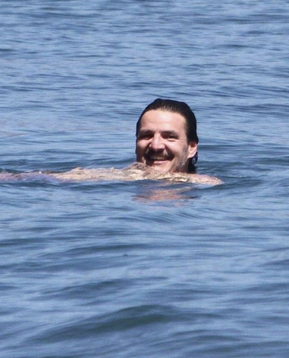 ashley🤍 tweet media