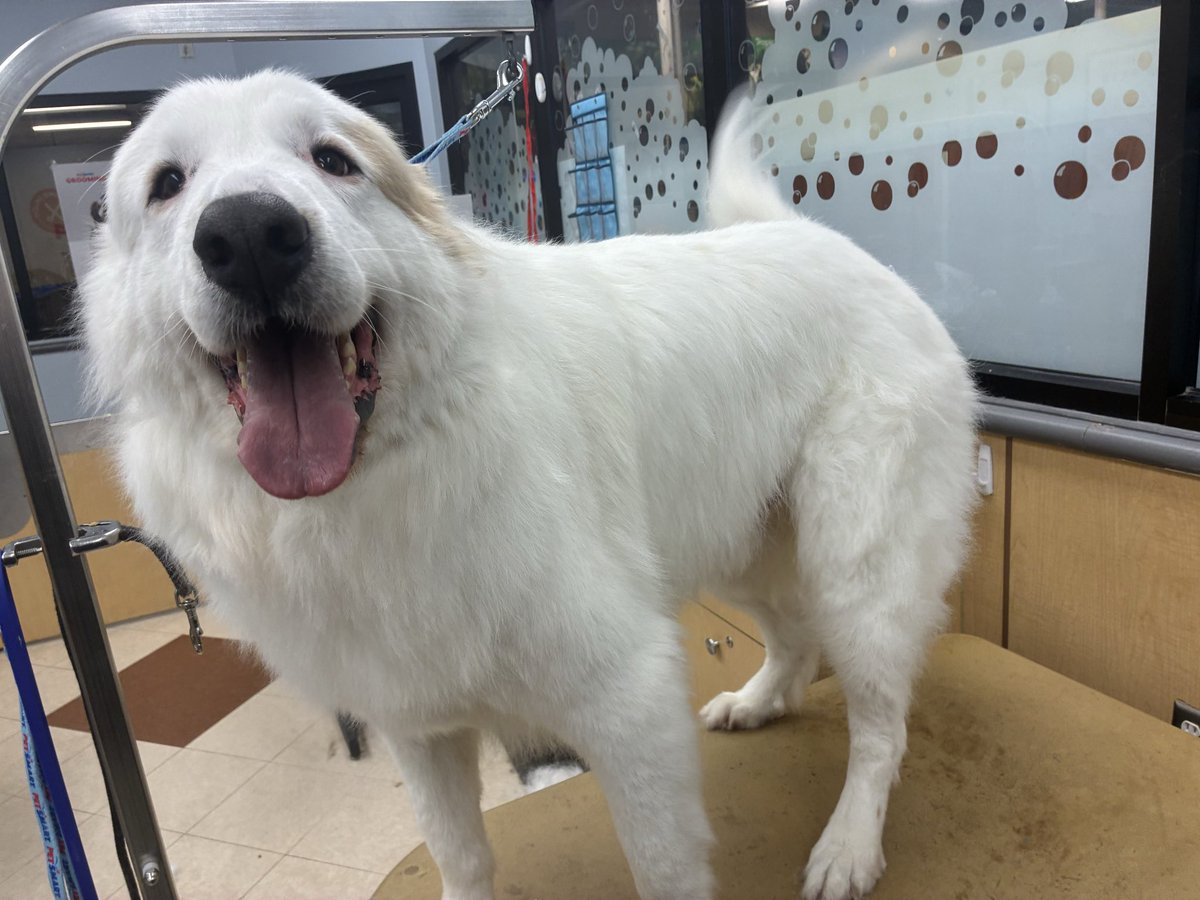 aaron 𐂂 tweet media