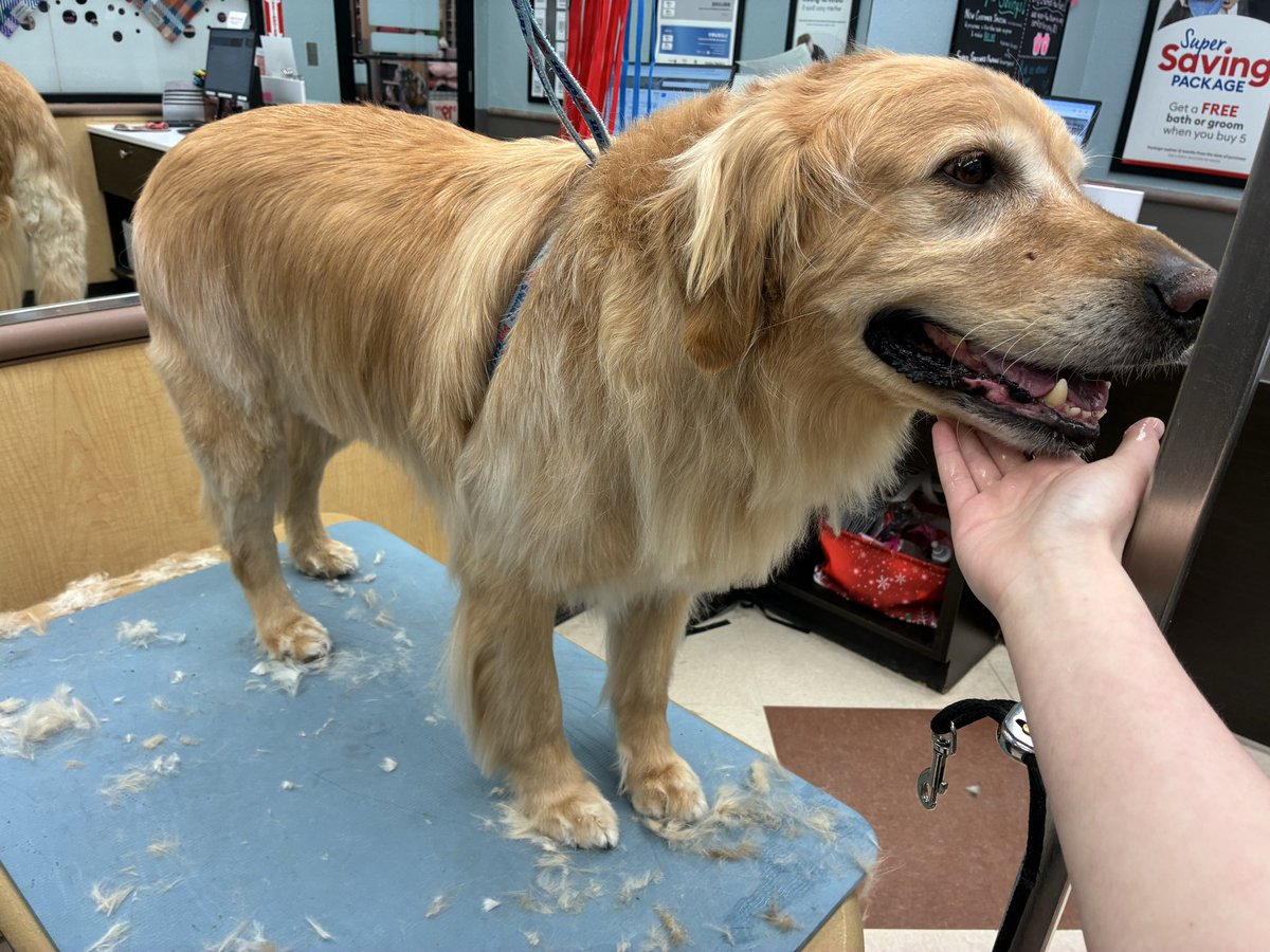 aaron 𐂂 tweet media