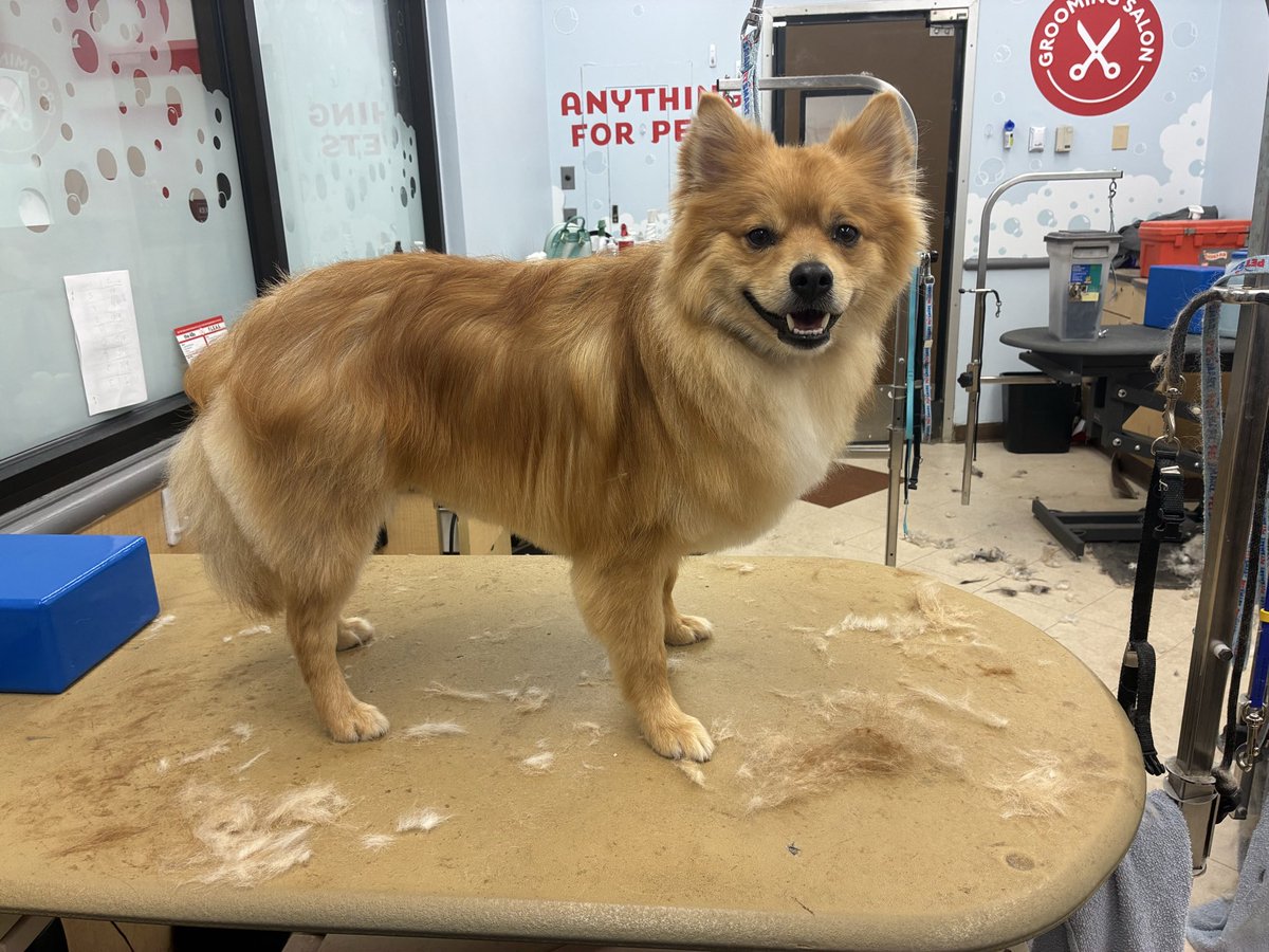 aaron 𐂂 tweet media