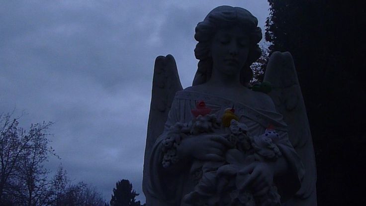 𝕰𝖑𝖊𝖒𝖒𝖎𝖗𝖊 tweet media