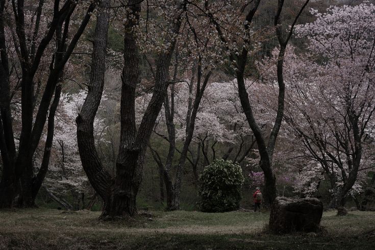 𝕰𝖑𝖊𝖒𝖒𝖎𝖗𝖊 tweet media