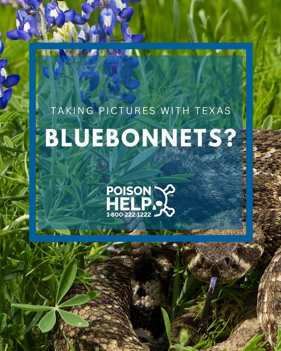 NTX Poison Center tweet media