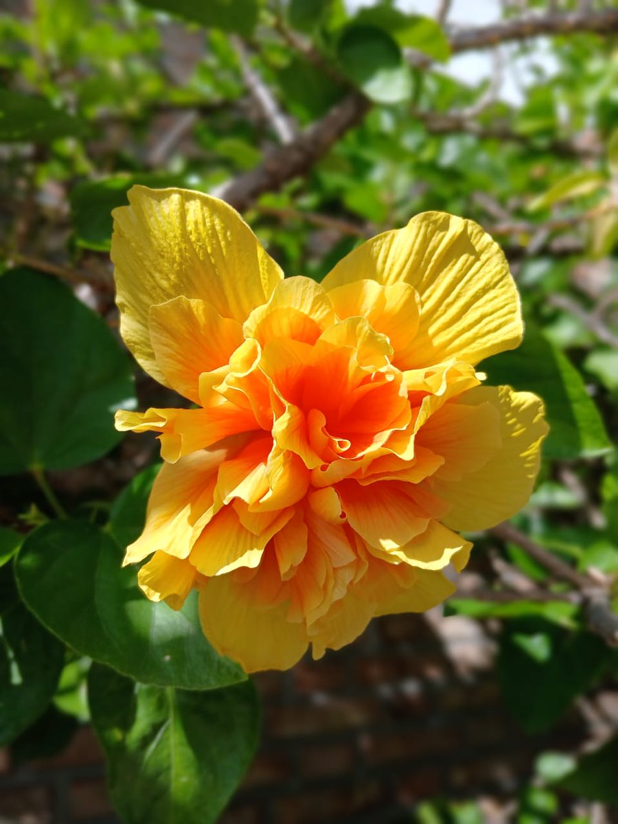 Un Poco Más tweet media